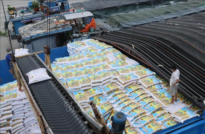 Bientôt une séance de consultation sur l'exportation vers le Laos et la Thaïlande ảnh 1