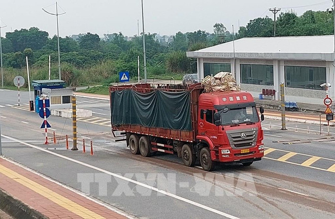 Quang Ninh : la porte frontalière de Mong Cai traite 45.300 tonnes de fret depuis sa réouverture ảnh 1 Quang Ninh : la porte frontalière de Mong Cai traite 45.300 tonnes de fret depuis sa réouverture ảnh 1