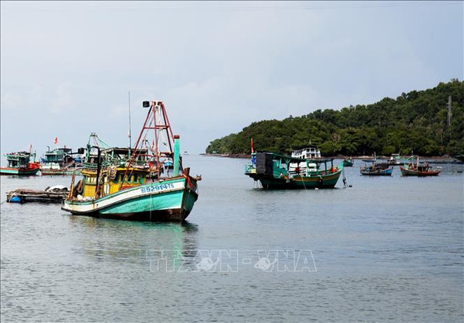 Le Vietnam dispose d'un potentiel immense pour développer l'économie bleue ảnh 2 Le Vietnam dispose d'un potentiel immense pour développer l'économie bleue ảnh 2