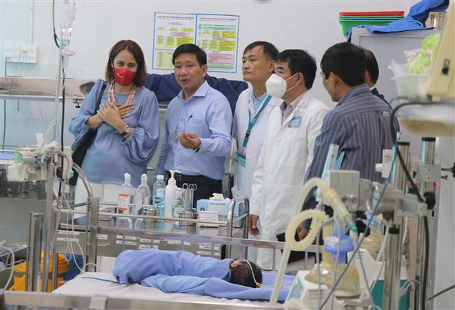 Des projets néo-zélandais contribuent au développement de la province de Binh Dinh ảnh 1 Des projets néo-zélandais contribuent au développement de la province de Binh Dinh ảnh 1