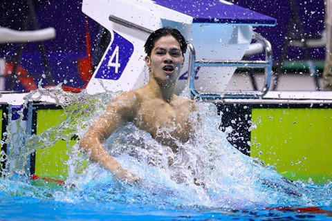 Trois artisans du succès de la natation vietnamienne ảnh 4