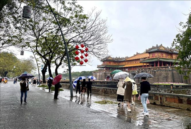 Thua Thien-Hue renforce ses efforts dans la préservation de ses patrimoines ảnh 1 Thua Thien-Hue renforce ses efforts dans la préservation de ses patrimoines ảnh 1