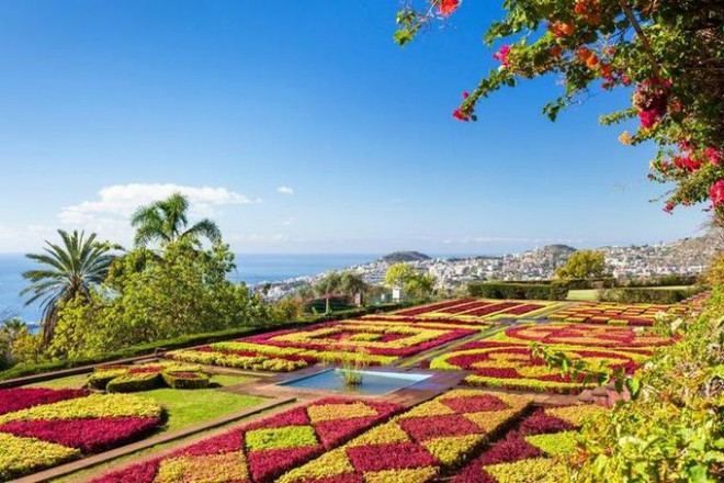 Dà Lat parmi les plus beaux endroits du monde où admirer les fleurs, selon Booking.com ảnh 3 Dà Lat parmi les plus beaux endroits du monde où admirer les fleurs, selon Booking.com ảnh 3