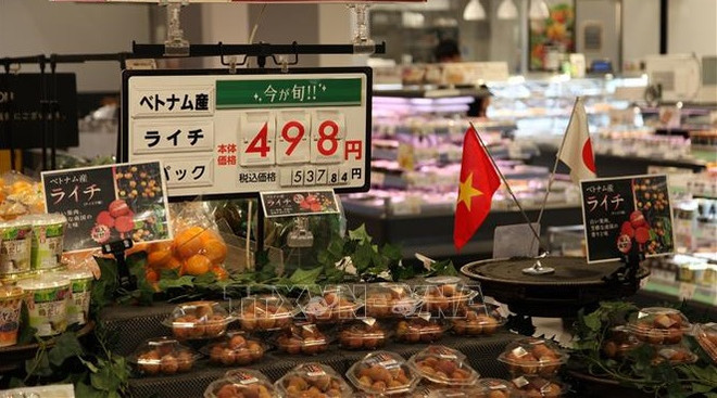 Le Vietnam stimule la production agricole conformément aux normes internationales ảnh 1 Le Vietnam stimule la production agricole conformément aux normes internationales ảnh 1