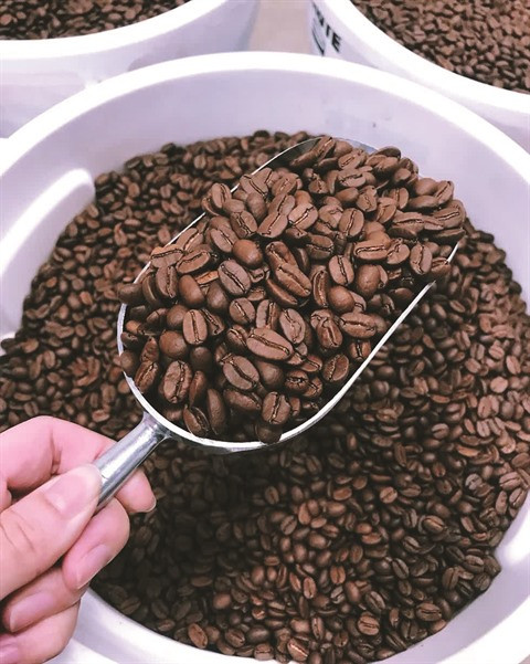 Sahra Nguyen, une ambassadrice du café robusta aux États-Unis ảnh 3 Sahra Nguyen, une ambassadrice du café robusta aux États-Unis ảnh 3