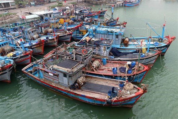 Le Vietnam demande à la Chine de ne pas compliquer la situation en Mer Orientale ảnh 1 Le Vietnam demande à la Chine de ne pas compliquer la situation en Mer Orientale ảnh 1