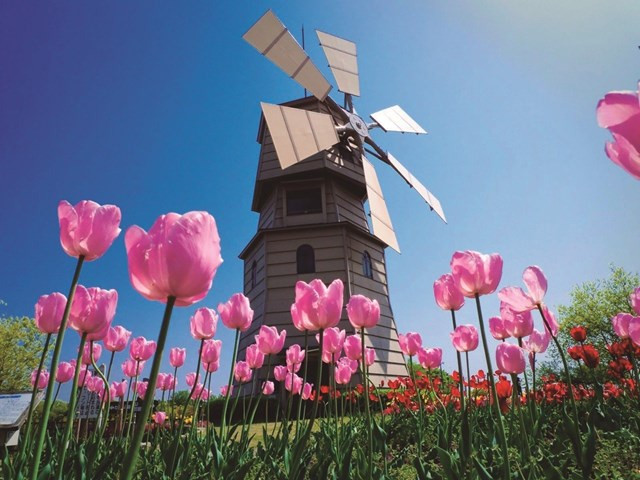 Pays-Bas, marché à l’export potentiel des entreprises vietnamiennes ảnh 1 Pays-Bas, marché à l’export potentiel des entreprises vietnamiennes ảnh 1