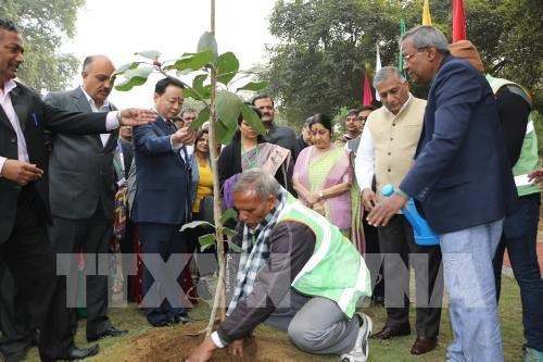 Inauguration du parc de l’amitié Inde-ASEAN à New Delhi ảnh 1 Inauguration du parc de l’amitié Inde-ASEAN à New Delhi ảnh 1