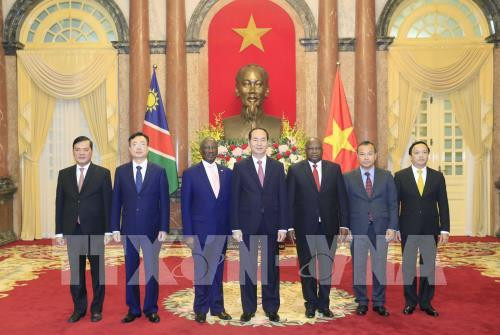Le président Tran Dai Quang reçoit de nouveaux ambassadeurs ảnh 1