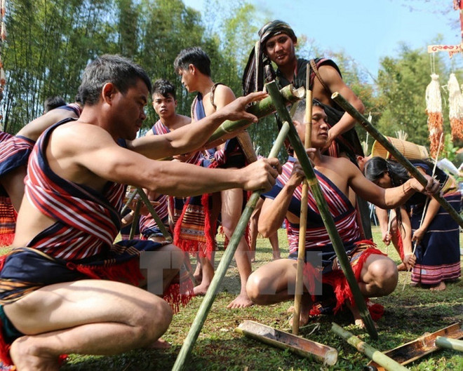 Le joyeux mois de mars sur les hauts plateaux du Tây Nguyên ảnh 1 Le joyeux mois de mars sur les hauts plateaux du Tây Nguyên ảnh 1
