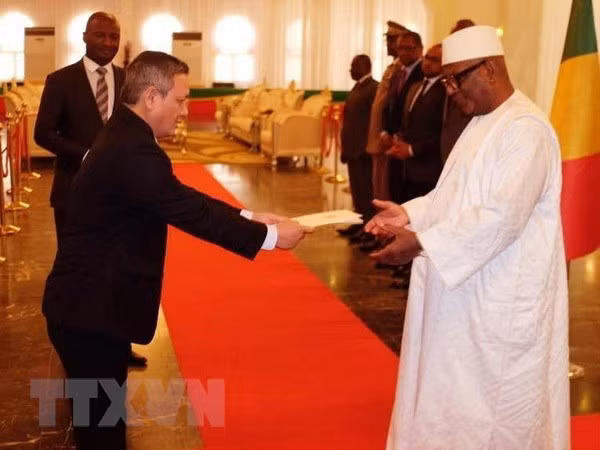 Le président malien souhaite renforcer la coopération multiforme avec le Vietnam ảnh 1