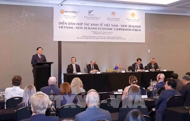 Le Vietnam et la Nouvelle-Zélande partagent leur approche commune ảnh 3