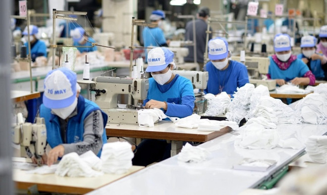 Développer un marché du travail flexible et efficace pour une reprise socio-économique rapide ảnh 2 Développer un marché du travail flexible et efficace pour une reprise socio-économique rapide ảnh 2