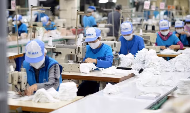 Développer un marché du travail flexible et efficace pour une reprise socio-économique rapide ảnh 2