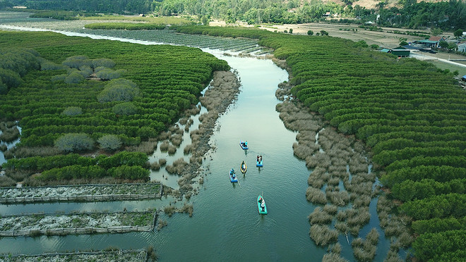 Développer le marché du carbone et promouvoir l'économie circulaire ảnh 2  Développer le marché du carbone et promouvoir l'économie circulaire ảnh 2