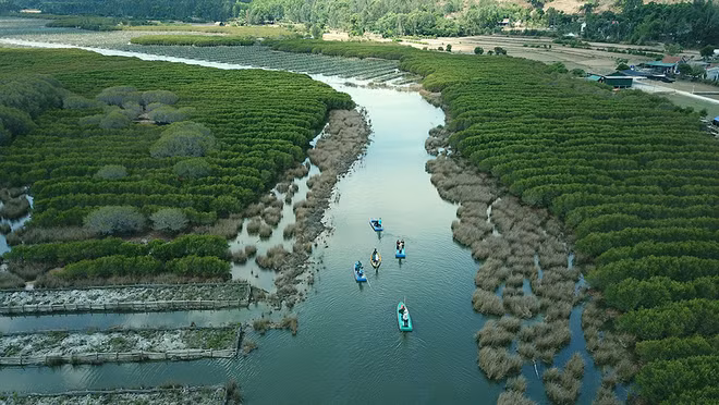  Développer le marché du carbone et promouvoir l'économie circulaire ảnh 2