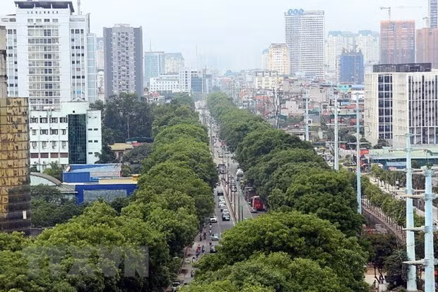 Le Vietnam et la Nouvelle-Zélande partagent leur approche commune ảnh 4