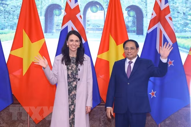 Le Vietnam et la Nouvelle-Zélande partagent leur approche commune ảnh 2