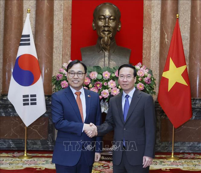  Le président Vo Van Thuong reçoit les ambassadeurs d’Irlande, d’Italie, de Lituanie et de R de Corée ảnh 3