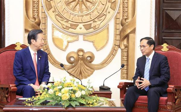 Le ministre des AE Bui Thanh Son reçoit le président du Parti japonais Komeito ảnh 2