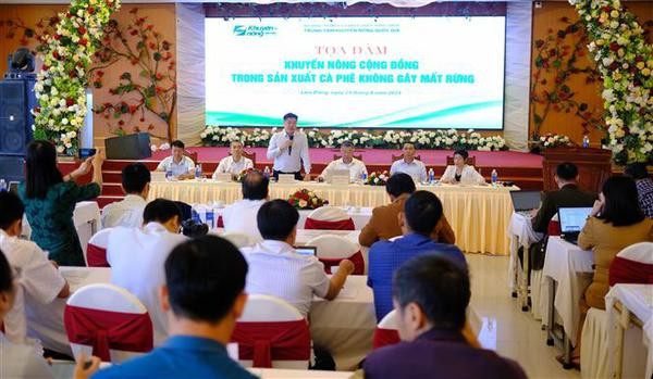 Promotion agricole communautaire pour produire du café sans provoquer de déforestation ảnh 1 Promotion agricole communautaire pour produire du café sans provoquer de déforestation ảnh 1