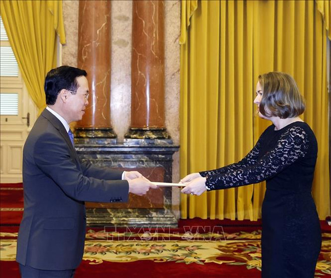 Le président Vo Van Thuong reçoit les ambassadeurs d’Irlande, d’Italie, de Lituanie et de R de Corée ảnh 1 Le président Vo Van Thuong reçoit les ambassadeurs d’Irlande, d’Italie, de Lituanie et de R de Corée ảnh 1
