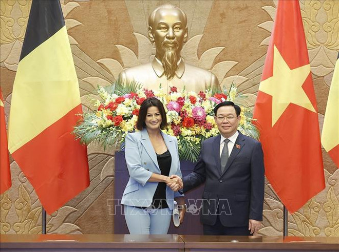 La présidente du Sénat belge termine sa visite officielle au Vietnam ảnh 1 La présidente du Sénat belge termine sa visite officielle au Vietnam ảnh 1
