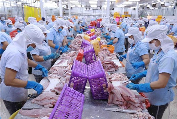 Un expert allemand évalue positivement les avantages offerts par l’EVFTA ảnh 2 Un expert allemand évalue positivement les avantages offerts par l’EVFTA ảnh 2