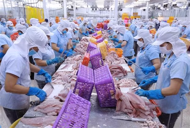 Un expert allemand évalue positivement les avantages offerts par l’EVFTA ảnh 2
