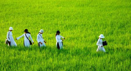 Le Vietnam, l'un des pays les plus pacifiques du monde ảnh 2 Le Vietnam, l'un des pays les plus pacifiques du monde ảnh 2