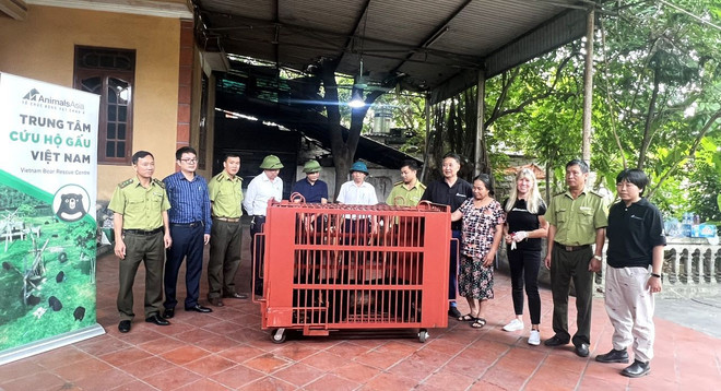 Sauvetage du dernier ours captif à Hai Duong ảnh 3 Sauvetage du dernier ours captif à Hai Duong ảnh 3
