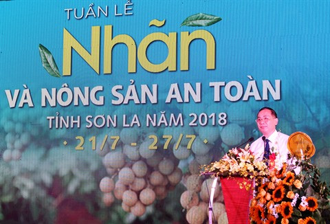 Les longanes de Son La à l’honneur à Hanoï ảnh 1 Les longanes de Son La à l’honneur à Hanoï ảnh 1