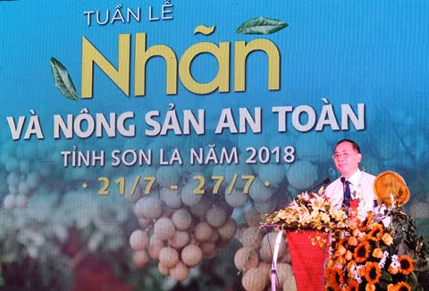 Les longanes de Son La à l’honneur à Hanoï ảnh 1