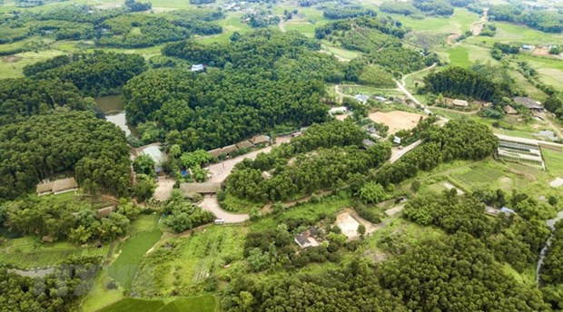 Londres s'engage à soutenir Hanoï dans la mise en œuvre de ses engagements pris lors de la COP26 ảnh 2 Londres s'engage à soutenir Hanoï dans la mise en œuvre de ses engagements pris lors de la COP26 ảnh 2