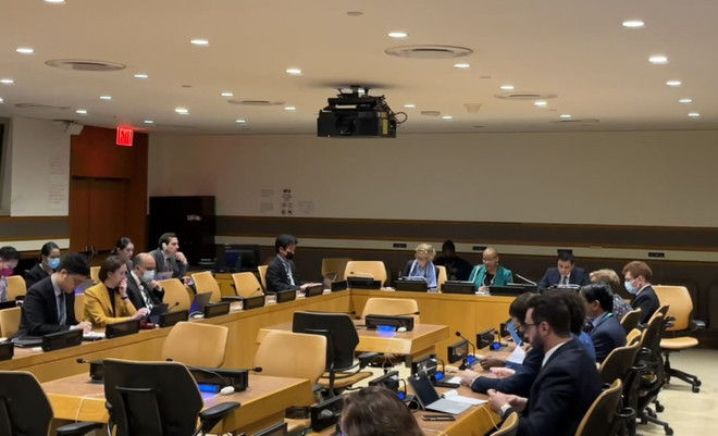 ONU: le Vietnam copréside la consultation du projet de résolution contre les épidémies ảnh 1 ONU: le Vietnam copréside la consultation du projet de résolution contre les épidémies ảnh 1
