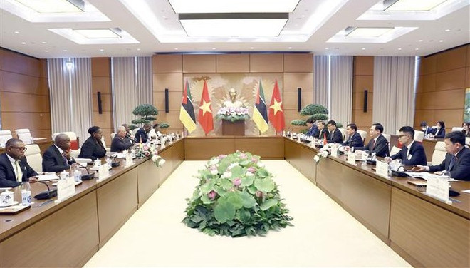 Renforcement des relations entre le Vietnam et le Mozambique ảnh 1 Renforcement des relations entre le Vietnam et le Mozambique ảnh 1