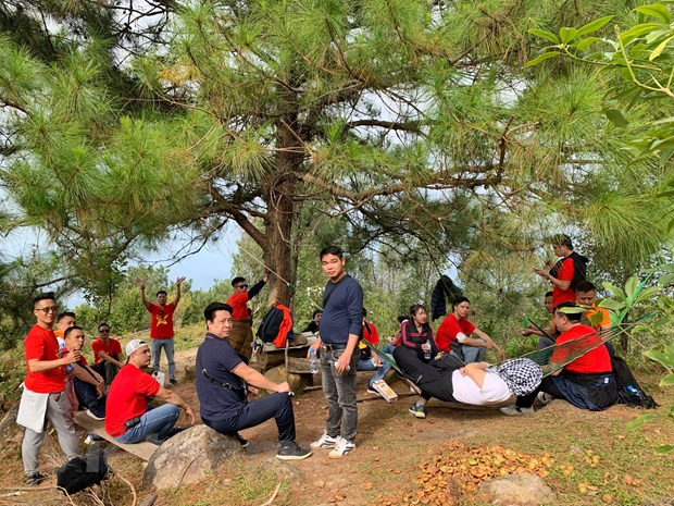 Préparer les conditions pour le retour des touristes étrangers ảnh 4 Préparer les conditions pour le retour des touristes étrangers ảnh 4