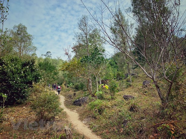 Préparer les conditions pour le retour des touristes étrangers ảnh 3 Préparer les conditions pour le retour des touristes étrangers ảnh 3