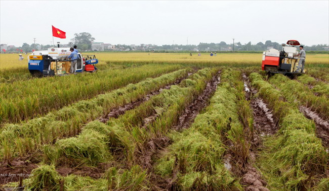 Le président de l’AN souligne l’agriculture, la ruralité et la paysannerie ảnh 2 Le président de l’AN souligne l’agriculture, la ruralité et la paysannerie ảnh 2