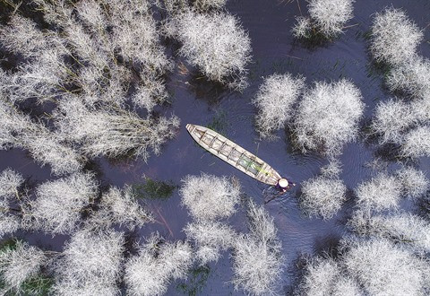 Savour Vietnam, un concours pour immortaliser la beauté du pays ảnh 1 Savour Vietnam, un concours pour immortaliser la beauté du pays ảnh 1