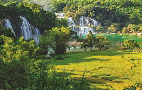 Savour Vietnam, un concours pour immortaliser la beauté du pays ảnh 2 Savour Vietnam, un concours pour immortaliser la beauté du pays ảnh 2