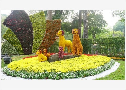 Festival des fleurs de Tao Dàn, retour au printemps au Sud ảnh 1 Festival des fleurs de Tao Dàn, retour au printemps au Sud ảnh 1