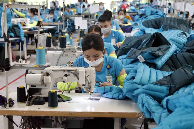 Le secteur du textile-habillement passe au vert pour gagner des parts du marché ảnh 1 Le secteur du textile-habillement passe au vert pour gagner des parts du marché ảnh 1
