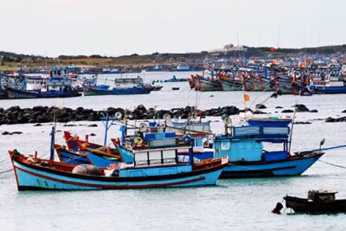 Binh Thuan devient l'une des plus grandes pêcheries du pays ảnh 2