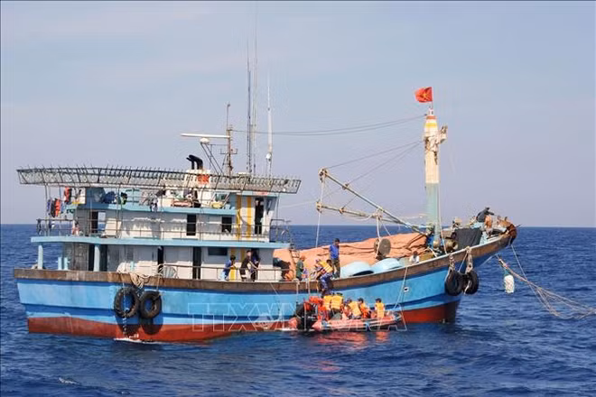 Quang Binh s'efforce de lutter contre la pêche INN ảnh 1