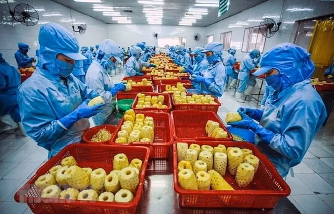 Promotion des exportations de produits agricoles vers les États-Unis ảnh 1