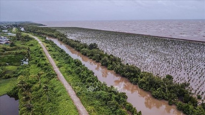 Trois piliers de l'adaptation au changement climatique ảnh 1 Trois piliers de l'adaptation au changement climatique ảnh 1