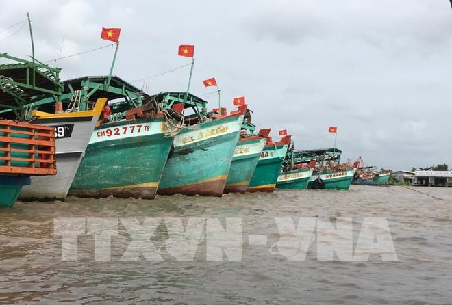 Améliorer la capacité des flottes de pêche hauturière ảnh 2 Améliorer la capacité des flottes de pêche hauturière ảnh 2
