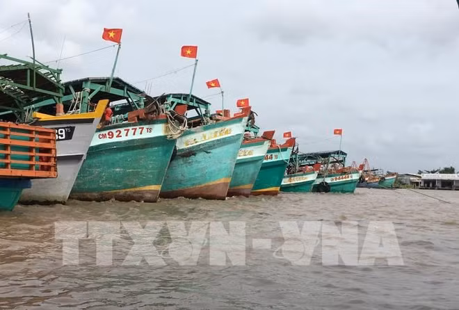 Améliorer la capacité des flottes de pêche hauturière ảnh 2 Améliorer la capacité des flottes de pêche hauturière ảnh 2