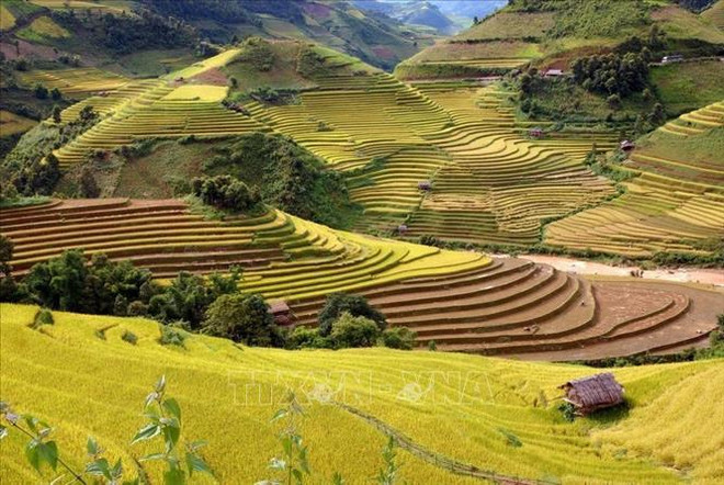 Presse allemande : le Vietnam est l'un des plus beaux pays d'Asie ảnh 5 Presse allemande : le Vietnam est l'un des plus beaux pays d'Asie ảnh 5